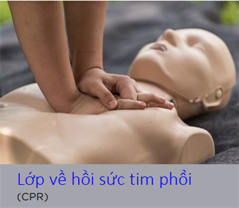CPR (Vietnamese)